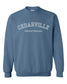 Cedarville School of Pharmacy embroidery Sweatshirt